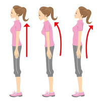 歪みに効果 姿勢を保つ筋肉とは 海老名の整体 骨盤矯正 身体のゆがみは海老名すずらん整体院